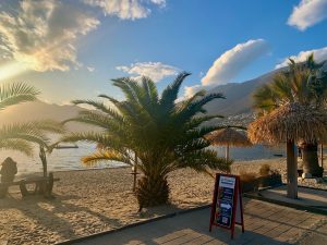 FFB9995C-07ED-4A65-80F0-D79969358529 Tenero